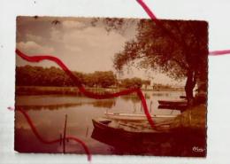 Cpm 01209 Précy Sur Oise L'oise (barques à Quai) - Précy-sur-Oise