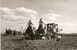 Photo De Presse ,  Corée , Agriculture , Dim. 15,0 X 10,0 Cm.( Voir Scan , Pas Carte Postale ) - Corée Du Nord