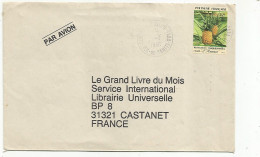 POLYNESIE LETTRE DE TAHITI POUR LA FRANCE 1991 - Briefe U. Dokumente