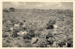 ANGOLA, MOSSAMEDES, Deserto De Moçamedes, Odres Do Deserto, 2 Scans - Angola