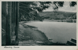 DE ALTENSTEIG / Stausee / CARTE GLACEE - Altensteig