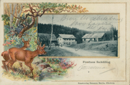 DE AUERBACH / Forsthaus Sackdilling / CARTE COULEUR - Auerbach (Vogtland)