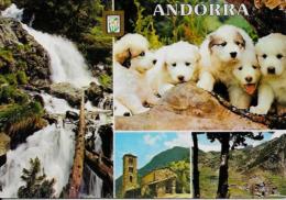 CPSM Andorre Andorra écrite 10 X 15 Chiens Des Pyrénées - Andorre