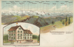 DE BADENWEILER / Alpenpanorama / CARTE COULEUR - Badenweiler
