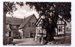 4542 TECKLENBURG, Marktlinde - Steinfurt