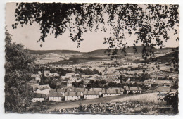 PLAINFAING --1952--DANS SON NID DE VERDURE,cpsm 14 X 9  N°88.349.02 éd La Cigogne-cachet MULHOUSE-68 - Plainfaing