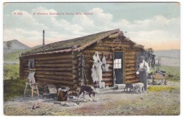 American Prairie Pioneers, Sod House On Plains 'Bachelor Home Wife Wanted' C1910s Vintage Postcard - Altri & Non Classificati