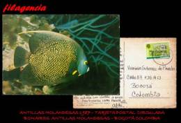 AMERICA. CARIBE ANTILLAS HOLANDESAS. ENTEROS POSTALES. TARJETA POSTAL CIRCULADA 1987. BONAIRES-BOGOTÁ. PECES TROPICALES - Antillen