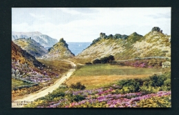 ENGLAND  -  Lynton  Valley Of Rocks  Unused Vintage Postcard - Lynmouth & Lynton