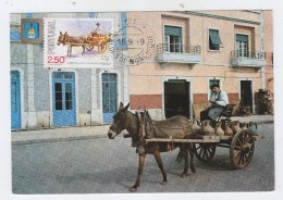 Portugal DONKEY MAXI CARD 1979 - Asini