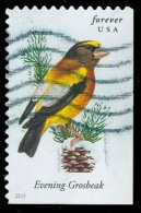 Etats-Unis / United States (Scott No.4887 - Oiseaux Américains / American Birds) (o) P2 - Usati