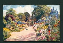 ENGLAND  -  Dingly Park  Herbaceous Borders  Unused Vintage Postcard - Northamptonshire