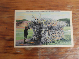 House Of Antlers At Mammot Yellowstone National Park - USA National Parks