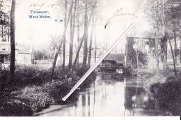 TIRLEMONT - Mout Molen - Superbe Carte Circulée Vers Namur En 1905 - Tienen