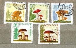 Flora - RUSSIA USSR 1964,SC 2963-67 MUSHROOMS, CTO - Otros