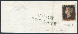 Plate 3 NE, Three Large Margins, Left Side Cut Close Tied To Piece By Very Fine Red MC With CORK/TOO LATE Alongside In B - Autres & Non Classés