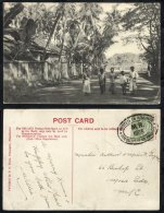 1905 PPC Franked ½d Edward Tied By The Type 2, POSTED IN ADVANCE/M.R./1905/FOR DELIVERY ON XMAS DAY, Oval H/stamp - Autres & Non Classés