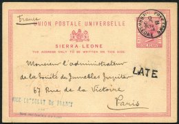 1896-1905 Trio Postal Stationery 1d Cards And Cover With 1896 1d Card To Paris With S/line LATE H/stamp, 1905 KEVII 1d C - Autres & Non Classés