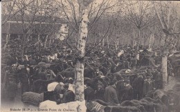 64---BIDACHE----grande Foire De Chevaux--voir 2 Scans - Bidache