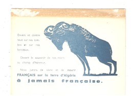 CPA Algérie Française Dessin Bélier Nous Jurons De Vivre & Mourir Français Sur Terre D´Algerie à Jamais Francaise > - Histoire