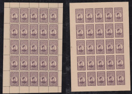 Rumänien Romania Postage Free Stamp  Mi# XIIa A+B (*) Mini Sheet Of 25 Michael Foundation 1947 - Franquicia