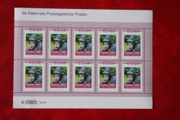 Sheet Postzegelshow POSTEX Aap  Monkey Affen 2007 POSTFRIS / MNH / ** Nederland / Netherlands - Unused Stamps