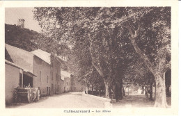 CHATEAURENARD   LES ALLEES - Chateaurenard