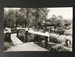 Mooi Giethoorn--uitg,Hotel Mol ,,De Harmonie ",Giethoorn--gelopen 1960 - Giethoorn