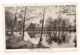 Delcampe - 33423  -  Libin  étang  Du  Moulin - Libin