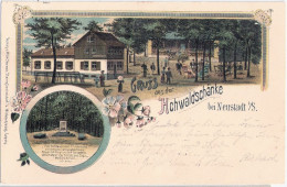 NEUSTADT Sachsen Gruss Aus Der Hochwaldschänke Osterzgebirge Col Litho 17.8.1900 Gelaufen - Neustadt