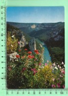 CPM, VALLON-PONT-D'ARC: Gorges De L' Ardèche, Vue Du Belvédère De La Madeleine - Vallon Pont D'Arc