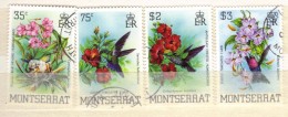 XP323 - MONTSERRAT , La Serie Completa Usata N. 517/520 . Birds - Montserrat