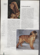 Belgie Herdenkingskaart Uit Jaarboek 2002 3064/68 WOEF DOGS - Souvenir Cards - Joint Issues [HK]