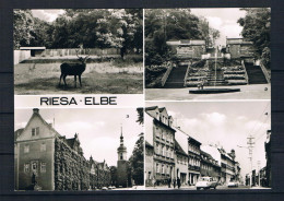 (1926) AK Riesa - Mehrbildkarte - Riesa