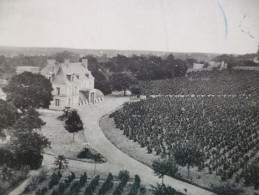 CPA 49 Maine Et Loire Souzay Domaine De Villeneuve Environs De Saumur Viticulture Vignes - Other & Unclassified