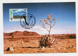 UNO WIEN - AK 270985 MC Namibia - Cartoline Maximum