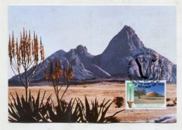UNO WIEN - AK 270986 MC Namibia - Cartoline Maximum