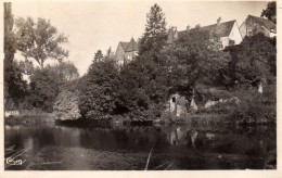 Pesmes (Tte-Saône)  - Les Bords De L'Ognon Et Le Château Rouillaux  - Cim - Pesmes