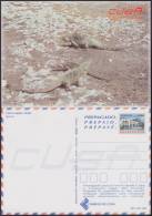 2000-EP-143 CUBA 2000. POSTAL STATIONERY. IGUANAS. LIZARD. CAYO LARGO. VISTAS TURISTICAS. UNUSED. - Brieven En Documenten