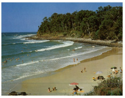(125) Australia - QLD - Noosa Heads Little Cove - Sunshine Coast