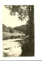 Olloy ( Photo Carte Du Viroin - Griffe Postale ) - Viroinval