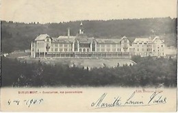 BORGOUMONT - Le Sanatorium = Vue Panoramique - Erezee