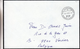 Liechtenstein - Lettre De 1981 - Oblitération Schellenberg - Port Payé - Lettres & Documents