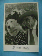 CPM   COUPLE DE CHIENS HABILLES  " LE COUPLE IDEAL" - Dressed Animals