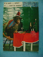 CPM    SINGE AVEC UN CHAPEAU A TABLE ET FUMANT - ECRITE EN 1982 - Dressed Animals