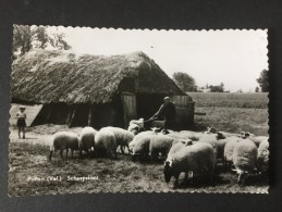 Putten (Vel.)  Schaapskooi----Firma G.Kieft,Putten (Vel.)---gelopen 1963 - Putten