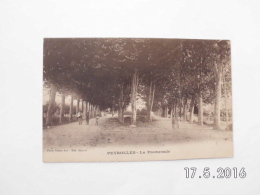 Peyrolles. - La Promenade. (2 -1 - 1919) - Peyrolles