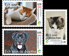 Luxemburg / Luxembourg - Postfris / MNH - Complete Set Pets 2016 - Ongebruikt