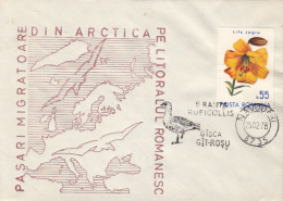 BIRDS, RED BREASTED GOOSE, LILY STAMP, SPECIAL COVER, 1978, ROMANIA - Oies