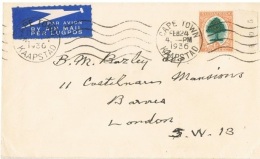 ARB-L27 - AFRIQUE DU SUD Lettre Par Avion De 1936 Affr. Arbre Avec Fruits En Bord De Feuille Numéroté - Storia Postale